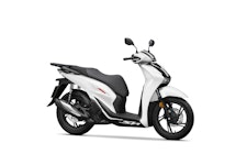  SH150 ABS SPORTY 2022 MAT PEARL COOL WHITE